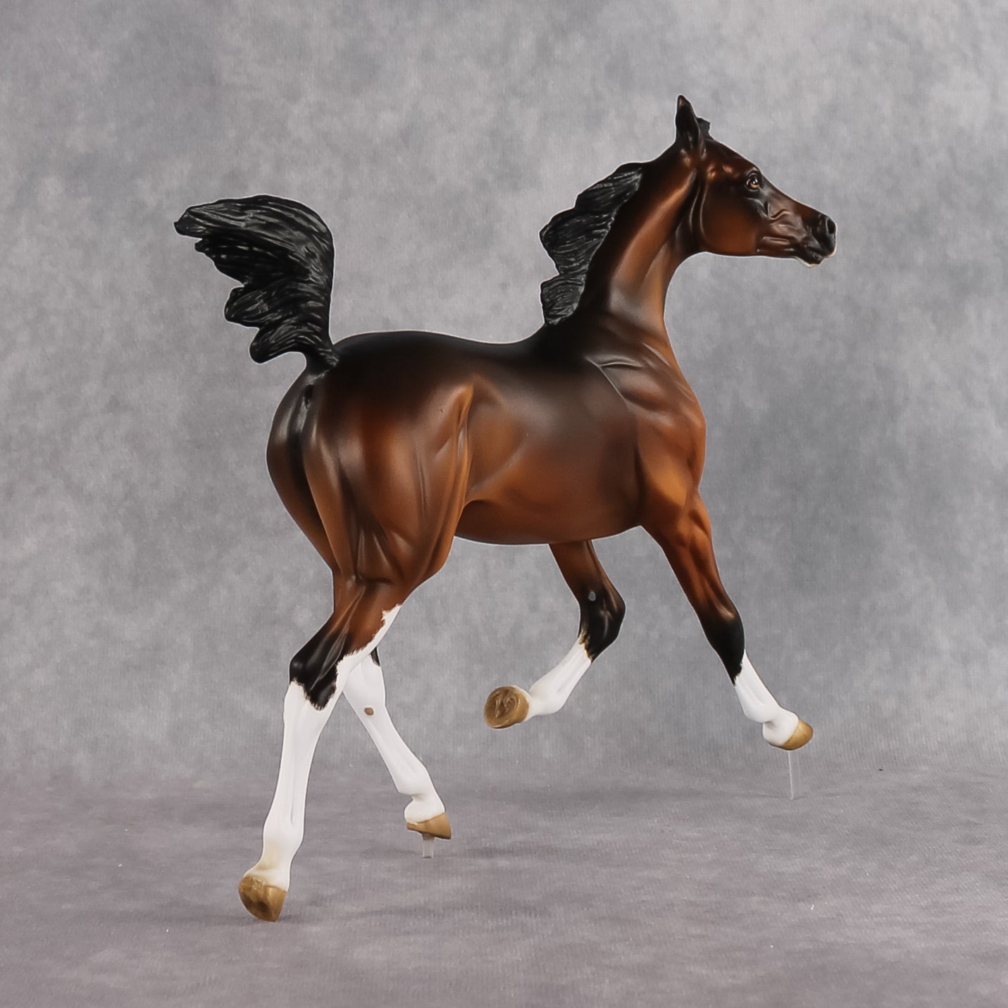 Hadiya OOAK EFCM Arabian Yearling by Kristen Cermele GS26