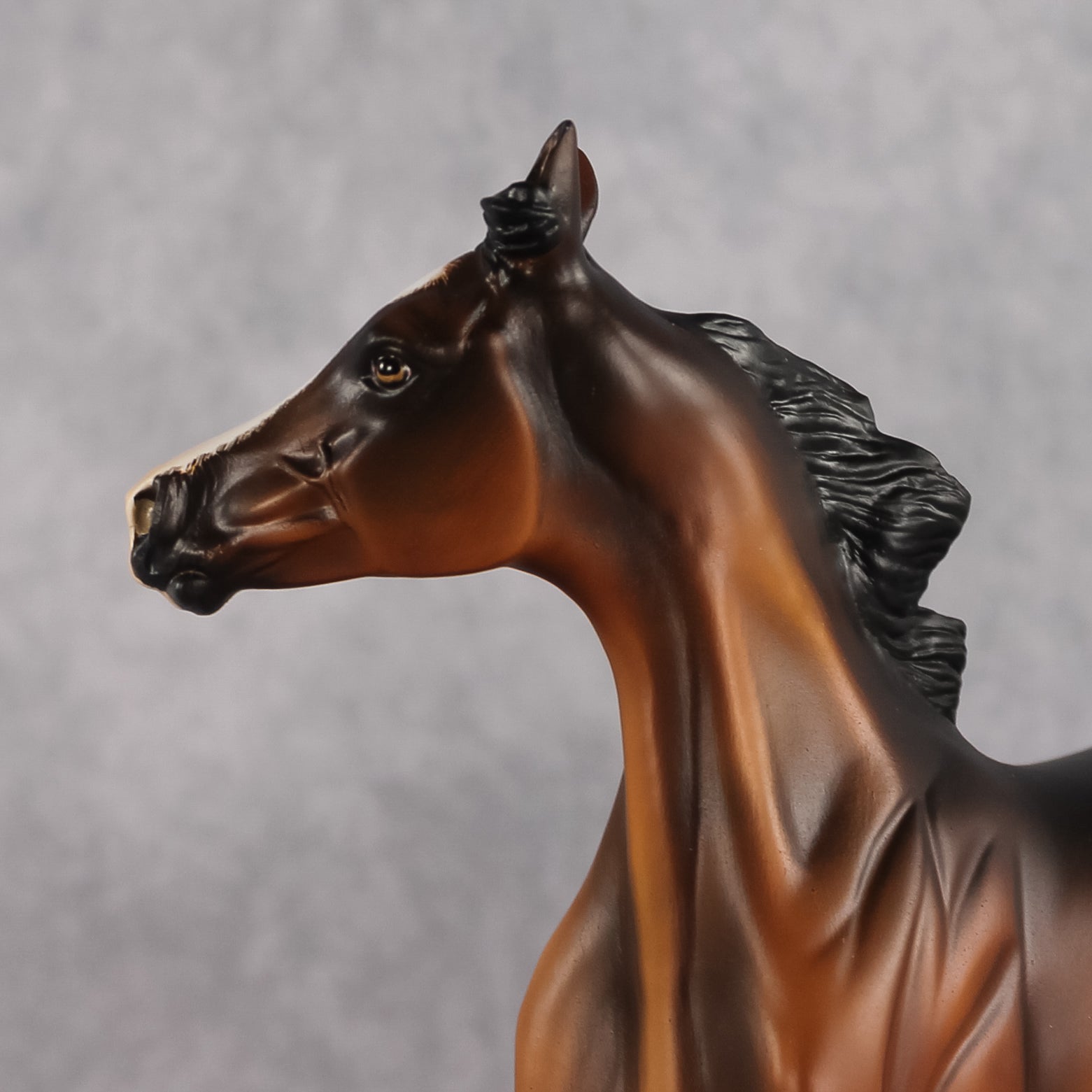 Hadiya OOAK EFCM Arabian Yearling by Kristen Cermele GS26