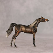 Hamburger Option OOAK Chip Arabian by Julie Keim VV26