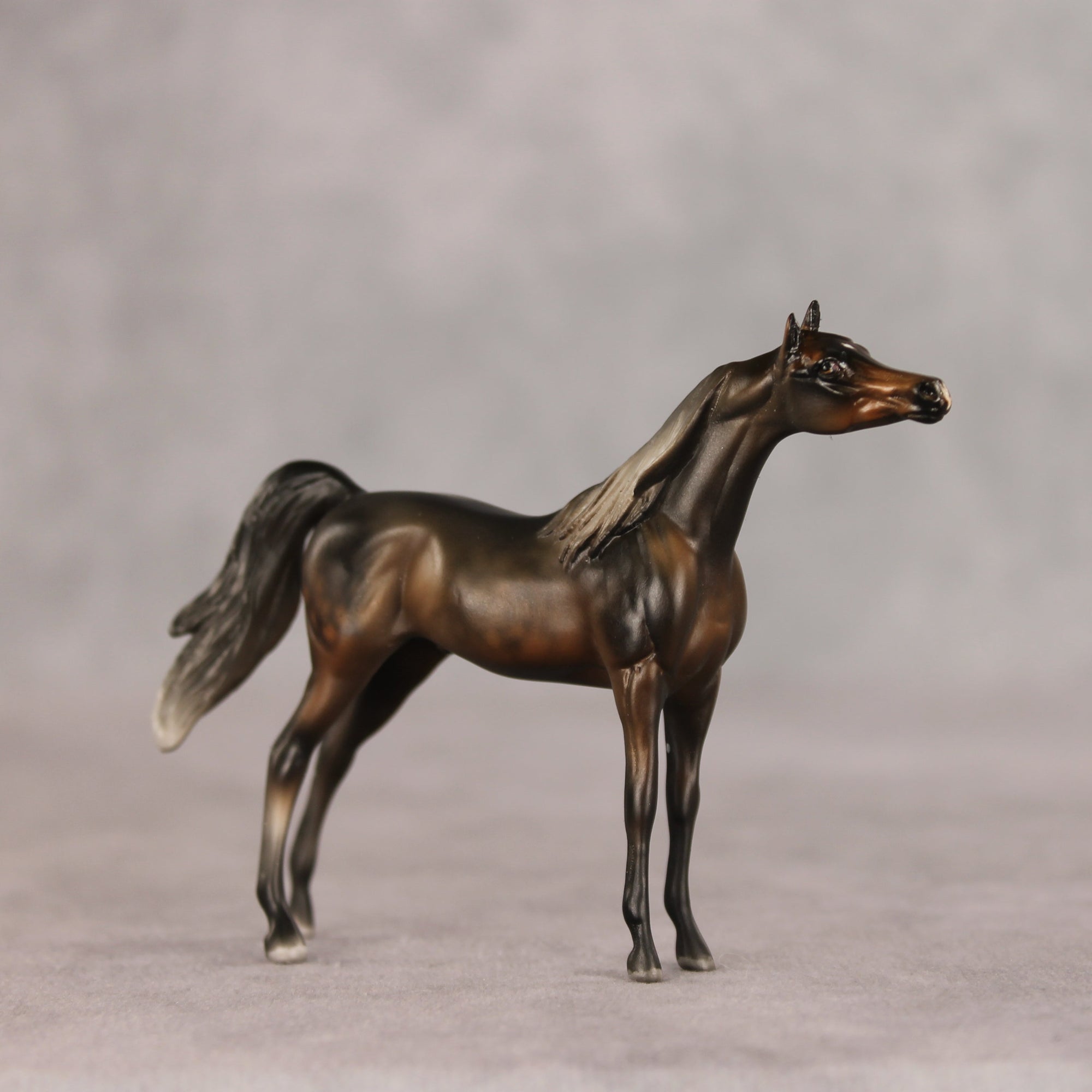 Hamburger Option OOAK Chip Arabian by Julie Keim VV26