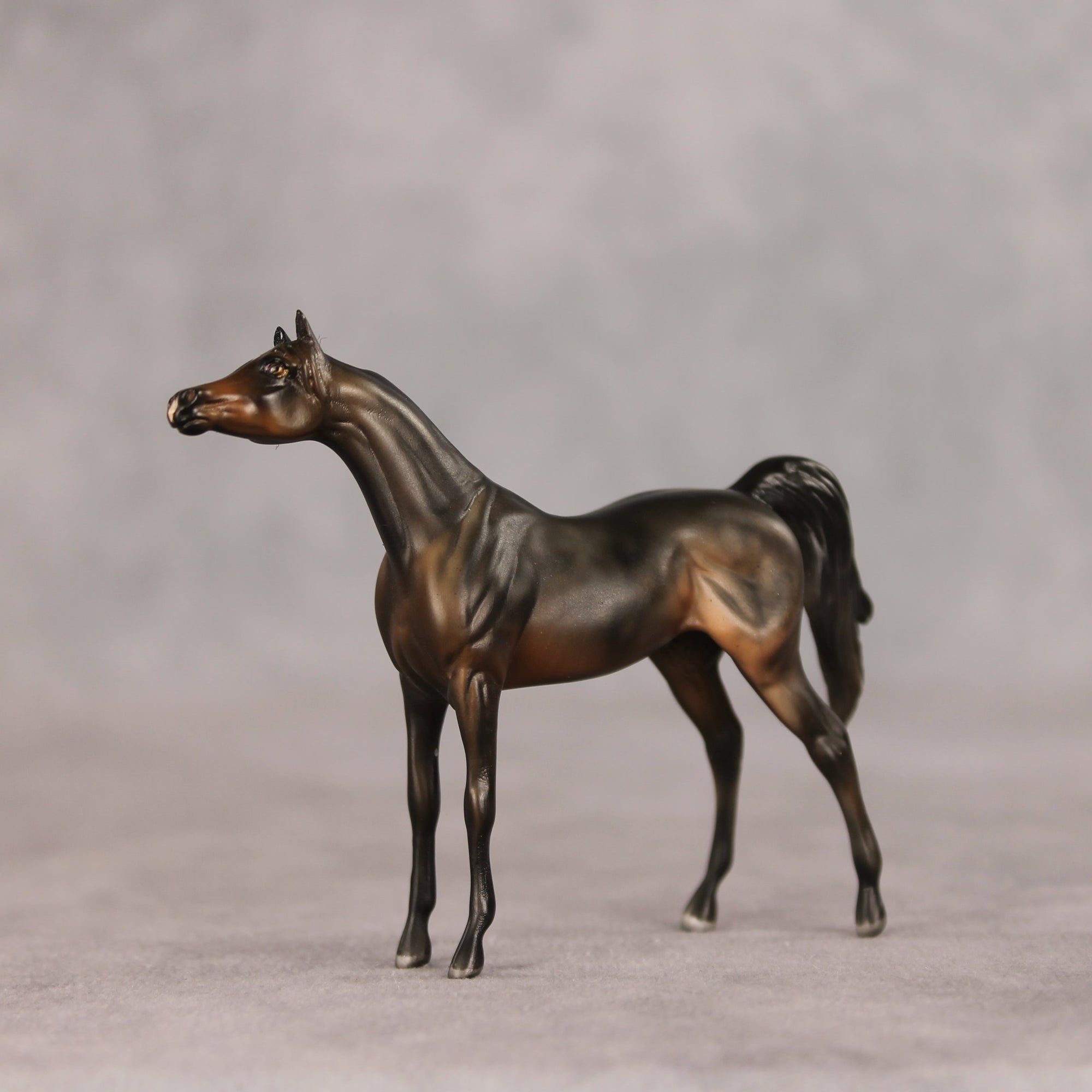 Hamburger Option OOAK Chip Arabian by Julie Keim VV26