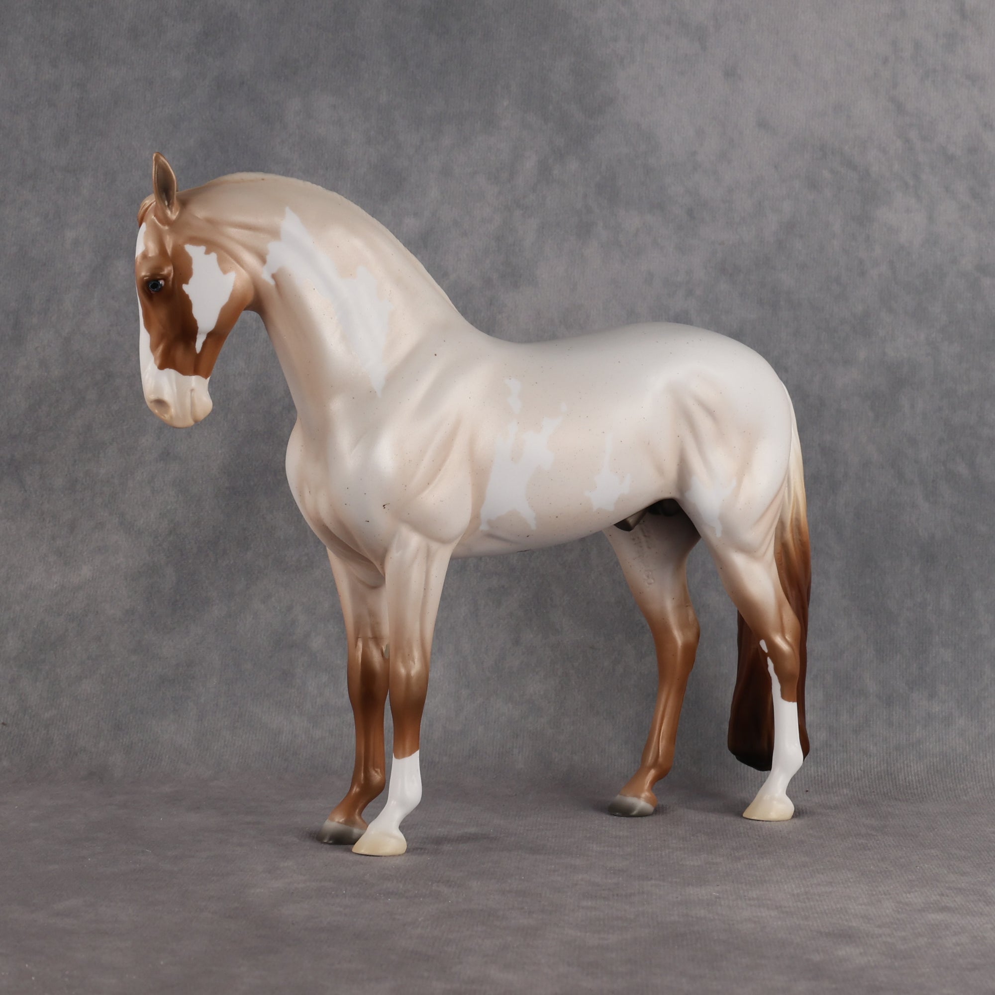 Hammer LE-20 FCM Andalusian by Madi Wiseman TS26