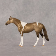 Hampshire OOAK Chip Thoroughbred by Dawn Quick LHS26