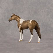 Hampshire OOAK Chip Thoroughbred by Dawn Quick LHS26