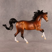 Bay 12 Ways LE-36 FCM Harmony by The Stone Horses Team EQ26