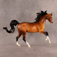 Bay 12 Ways LE-36 FCM Harmony by The Stone Horses Team EQ26