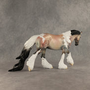 Harness the Care OOAK FCM Irish Cob by Dawn Quick DDOOAKs26
