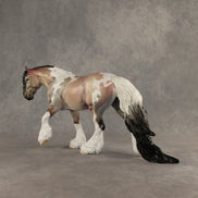 Harness the Care OOAK FCM Irish Cob by Dawn Quick DDOOAKs26