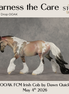 Harness the Care OOAK FCM Irish Cob by Dawn Quick DDOOAKs26