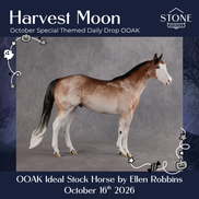 Harvest Moon OOAK Ideal Stock Horse by Ellen Robbins DDOOAKs26