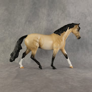 Have A Flocking Day OOAK FCM Pony by Alex Fortman DDOOAKs26