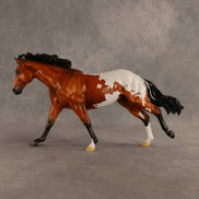 Hawk OOAK FCM Remington by Madi Wiseman DDOOAKs26