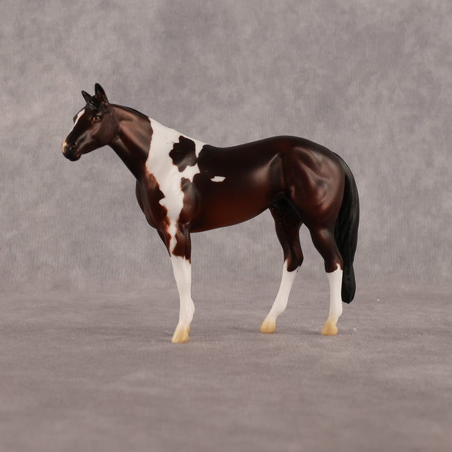He's A Doll OOAK Chip Stock Horse by Alex Fortman LHS26