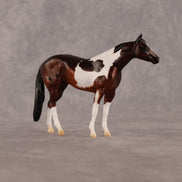 He's A Doll OOAK Chip Stock Horse by Alex Fortman LHS26