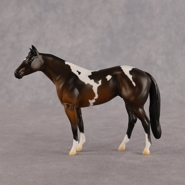 He's Mine OOAK Chip Stock Horse by Alex Fortman LHS26