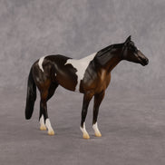 He's Mine OOAK Chip Stock Horse by Alex Fortman LHS26
