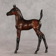 Heartbreaker OOAK Arabian Foal by Anna Rieck VV26
