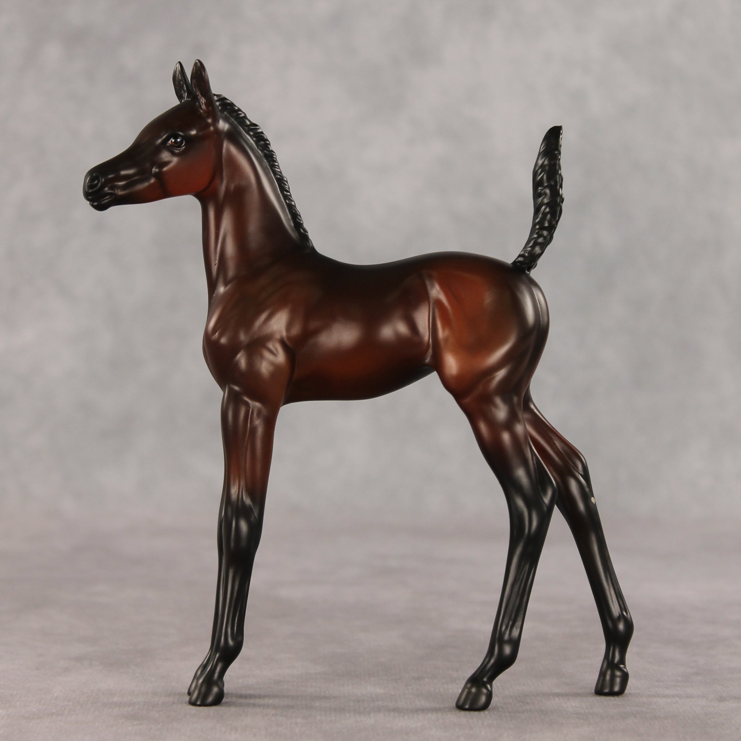Heartbreaker OOAK Arabian Foal by Anna Rieck VV26