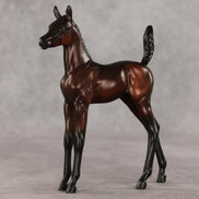 Heartbreaker OOAK Arabian Foal by Anna Rieck VV26