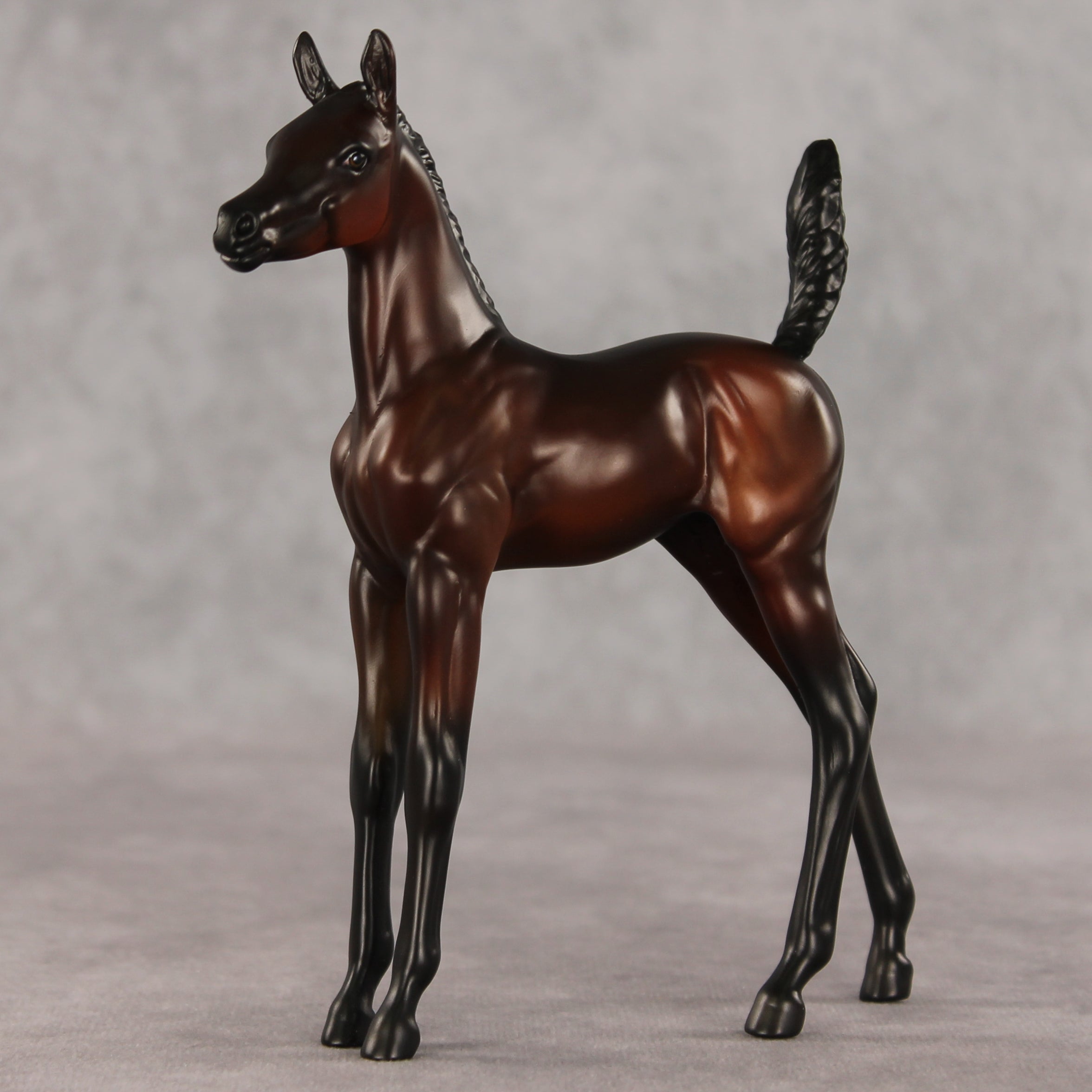 Heartbreaker OOAK Arabian Foal by Anna Rieck VV26