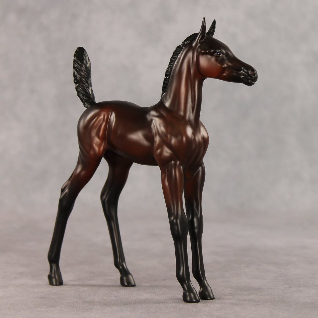 Heartbreaker OOAK Arabian Foal by Anna Rieck VV26