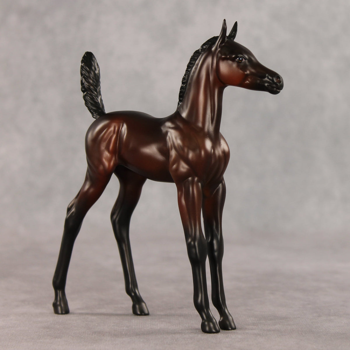 Heartbreaker OOAK Arabian Foal by Anna Rieck VV26