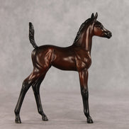 Heartbreaker OOAK Arabian Foal by Anna Rieck VV26