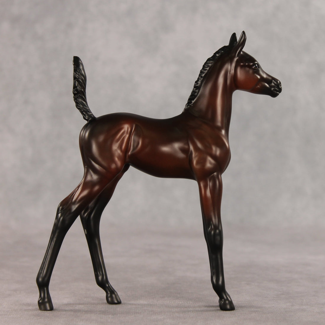 Heartbreaker OOAK Arabian Foal by Anna Rieck VV26