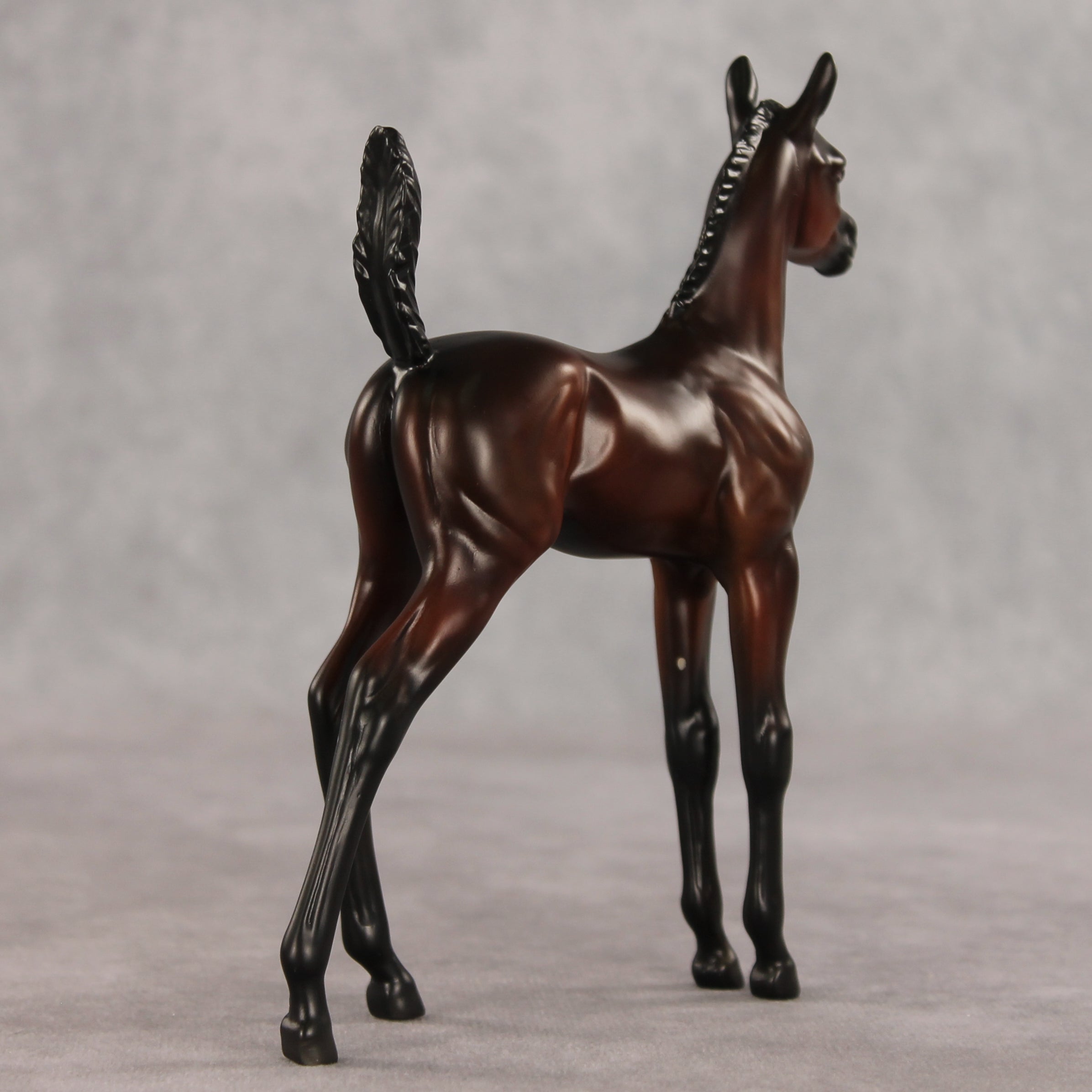 Heartbreaker OOAK Arabian Foal by Anna Rieck VV26