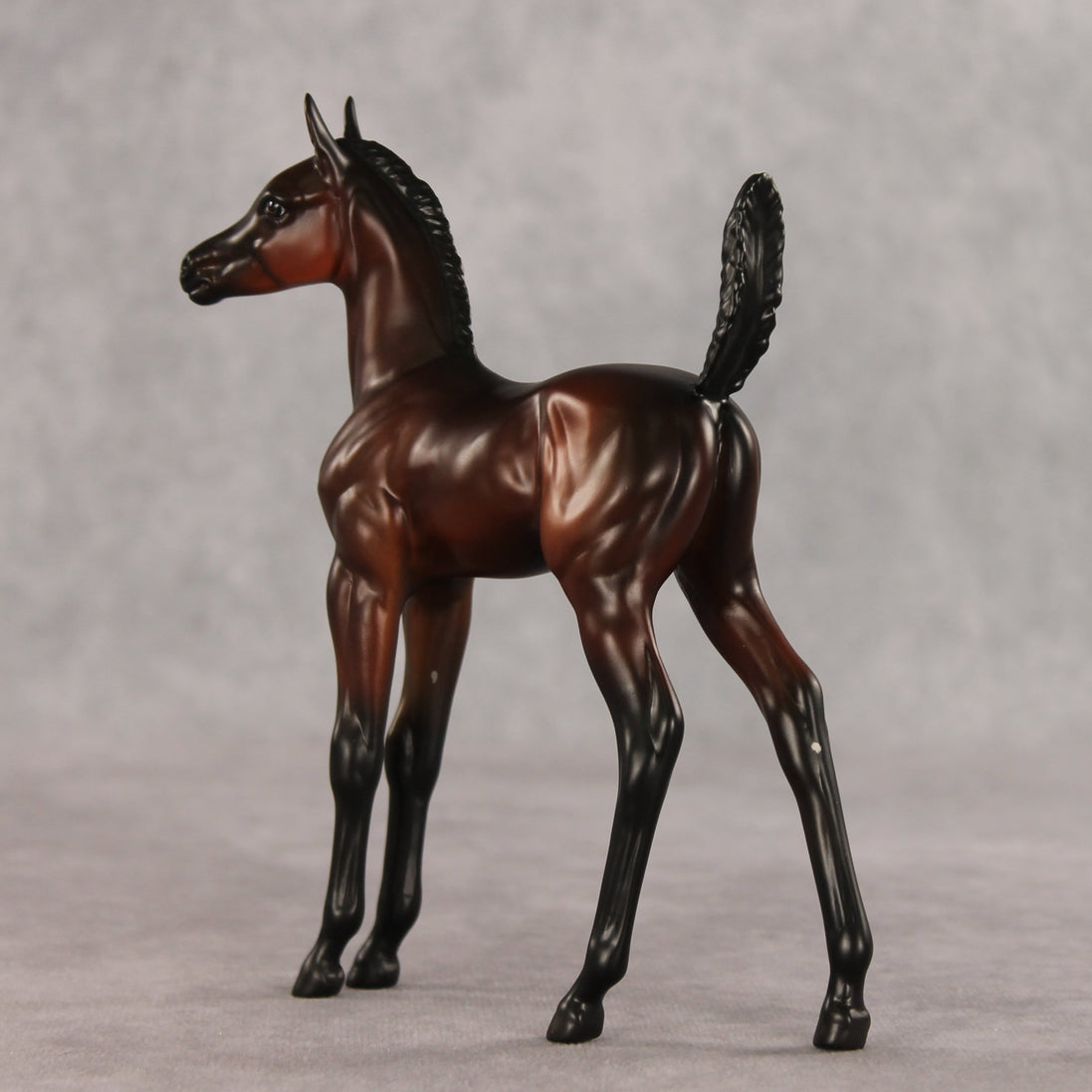 Heartbreaker OOAK Arabian Foal by Anna Rieck VV26