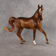 The Heart of the Matter OOAK FCM Arabian Mare by Sheryl Leisure Best Offer 10.6.2026