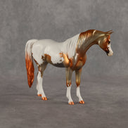 Hecate OOAK Pebble Arabian Mare by Dawn Quick SHCF26