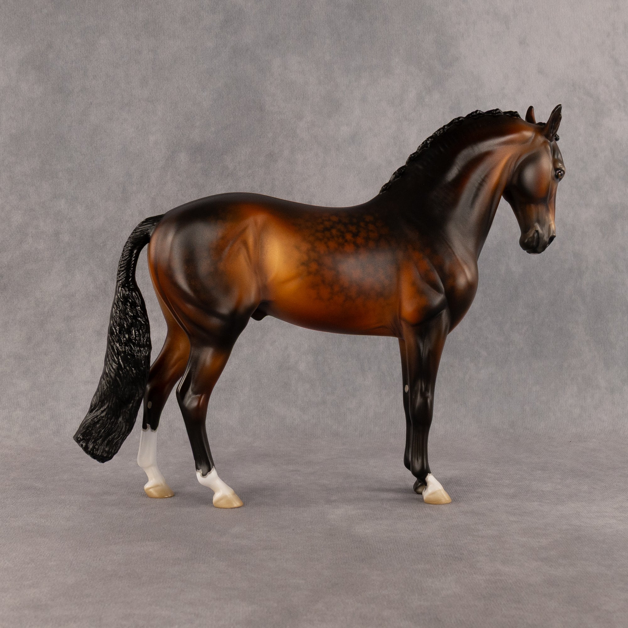 Heirloom Tom OOAK FCM Andalusian by Jess Hamill Best Offer 8.4.2026