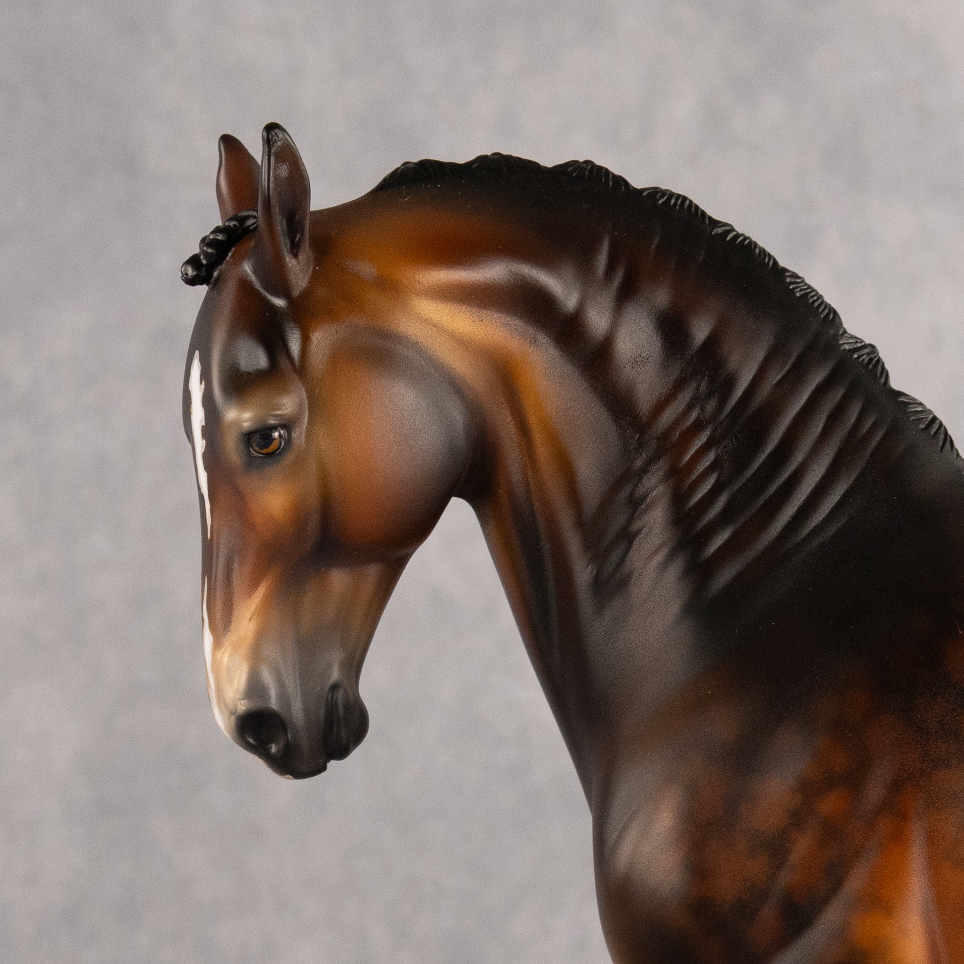 Heirloom Tom OOAK FCM Andalusian by Jess Hamill Best Offer 8.4.2026