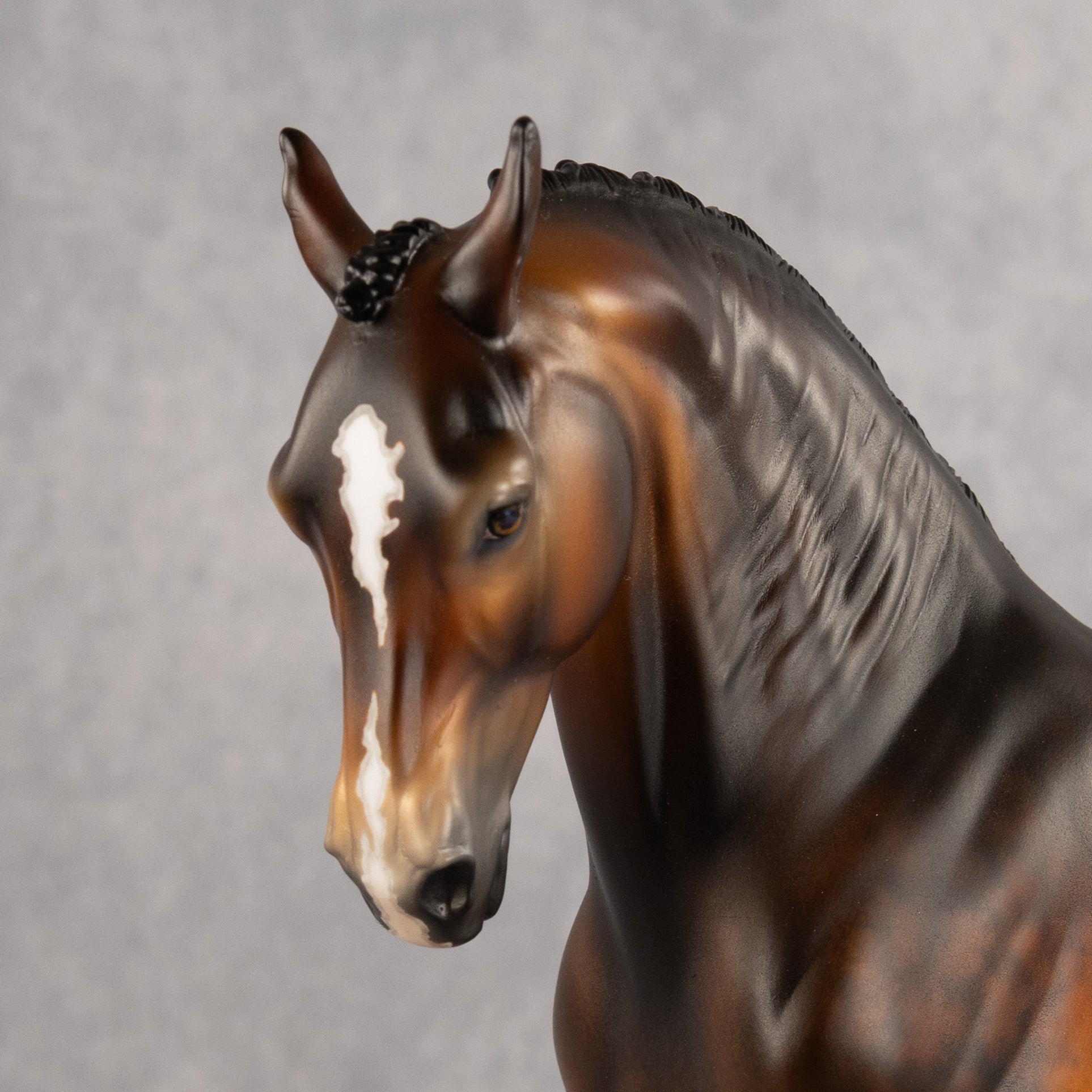 Heirloom Tom OOAK FCM Andalusian by Jess Hamill Best Offer 8.4.2026
