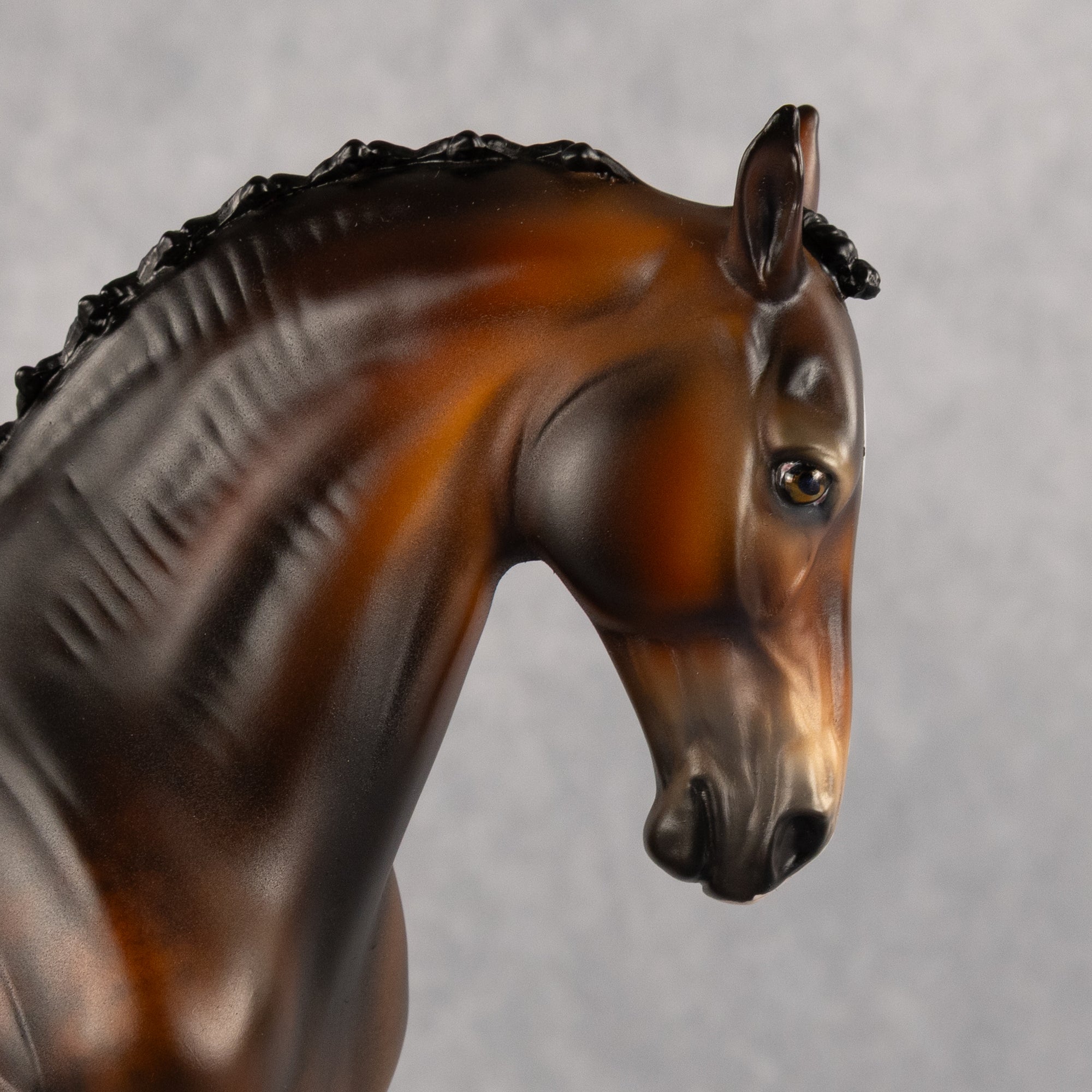 Heirloom Tom OOAK FCM Andalusian by Jess Hamill Best Offer 8.4.2026