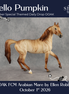 Hello Pumpkin OOAK FCM Arabian Mare by Ellen Robbins DDOOAKs26