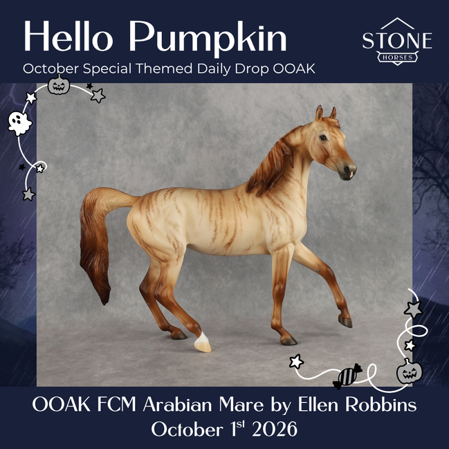 Hello Pumpkin OOAK FCM Arabian Mare by Ellen Robbins DDOOAKs26