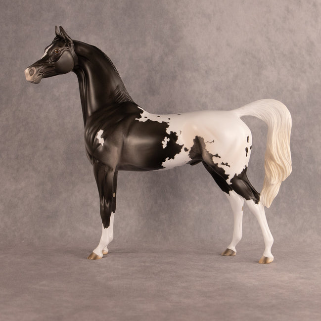Hemingway OOAK Arabian Stallion by Madi Wiseman EQ26