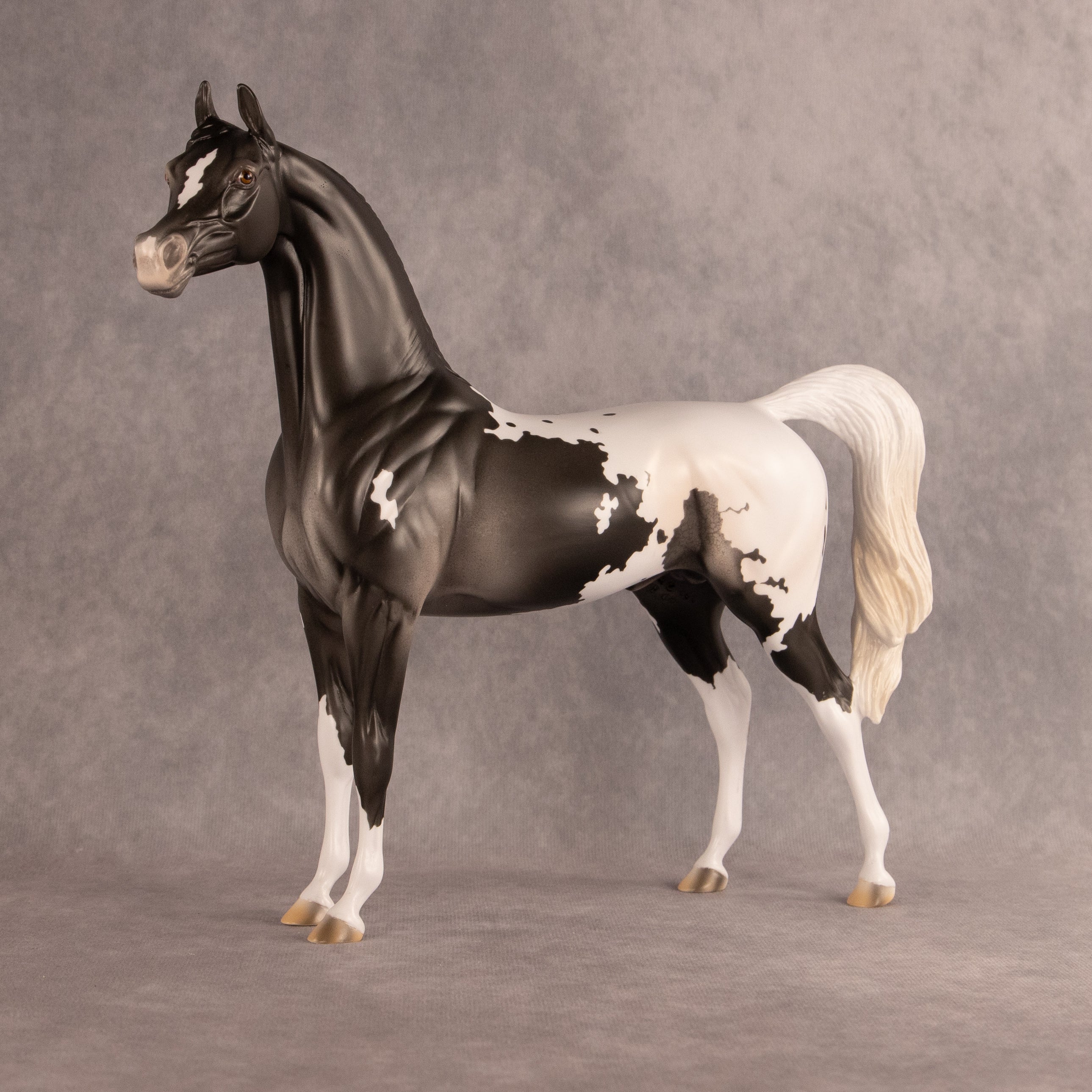Hemingway OOAK Arabian Stallion by Madi Wiseman EQ26