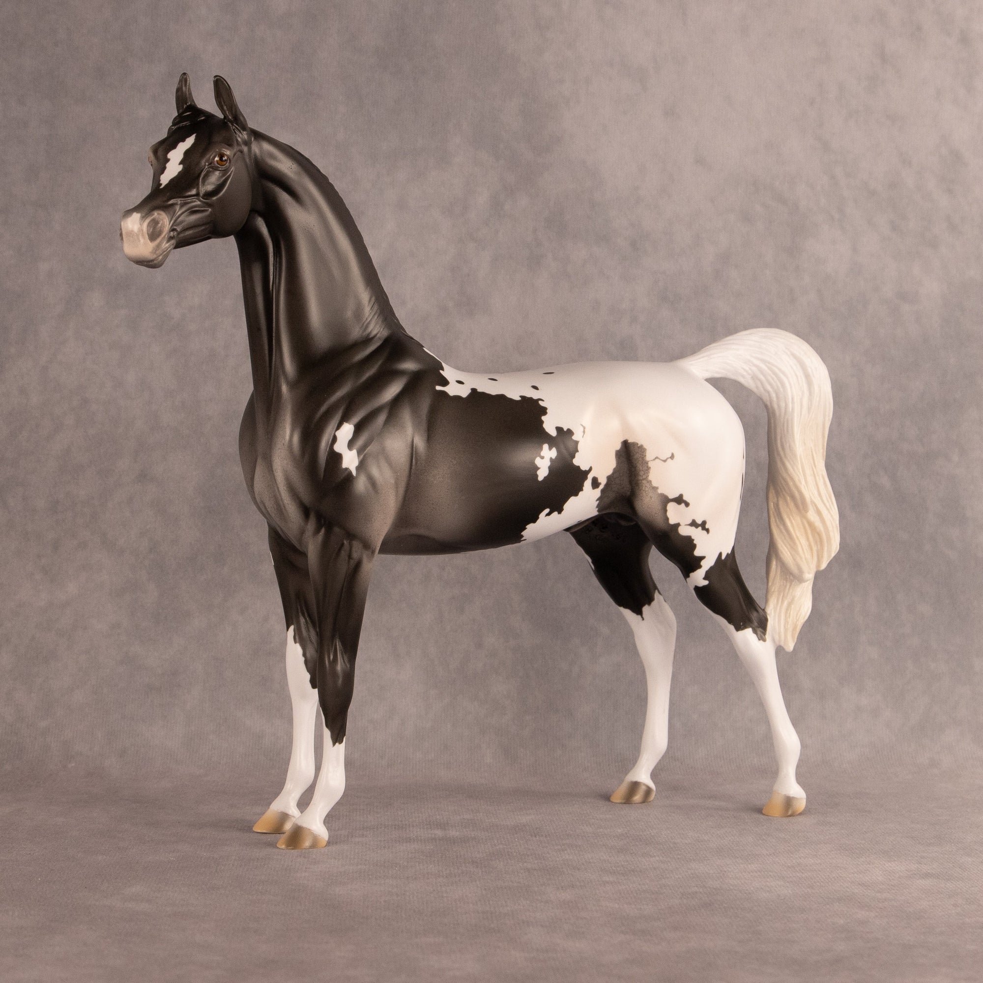 Hemingway OOAK Arabian Stallion by Madi Wiseman EQ26