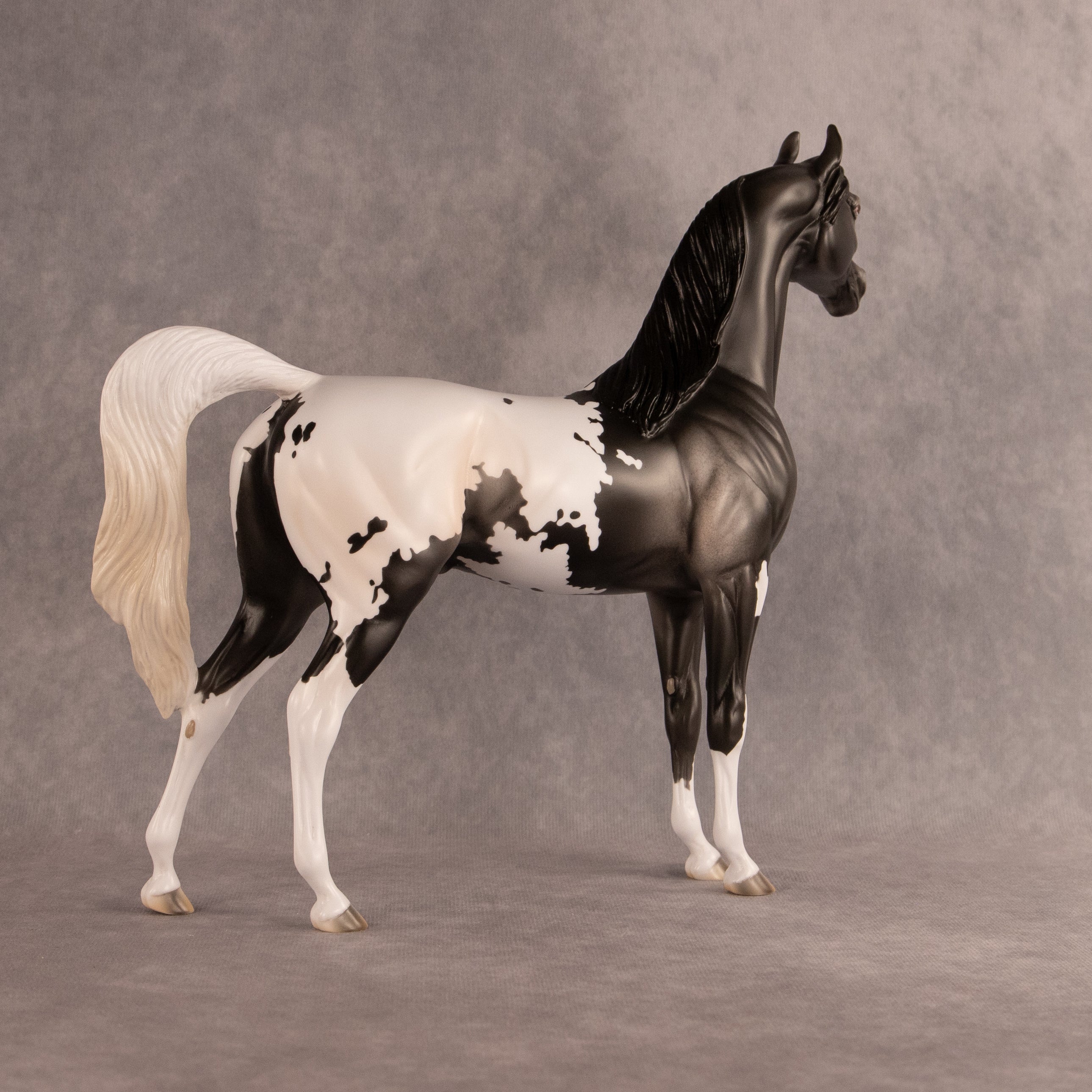 Hemingway OOAK Arabian Stallion by Madi Wiseman EQ26