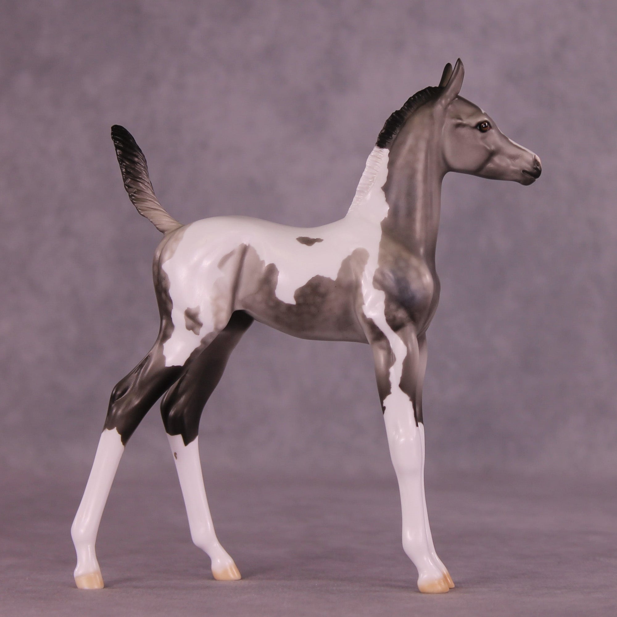 Henceforth OOAK Arabian Foal by Dawn Quick MM25 Group C