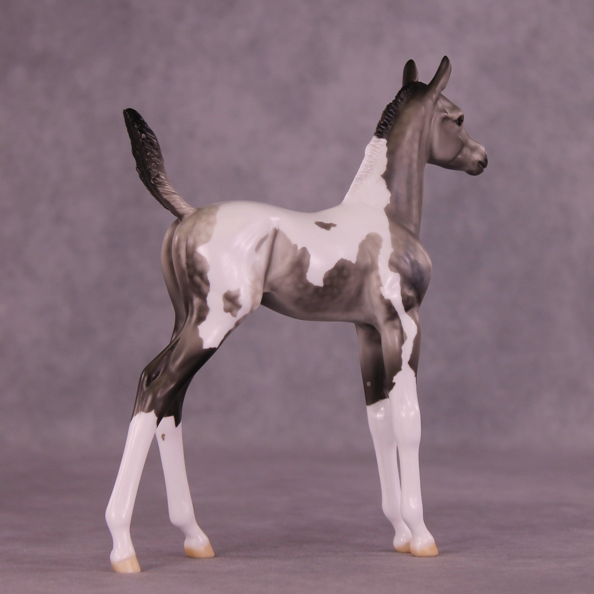 Henceforth OOAK Arabian Foal by Dawn Quick MM25 Group C