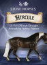 Preview: Hercule LE-15 Irish Draught by Ashley Palmer MM26