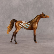 Hipponous OOAK Chip Arabian by Enrique Duarte WC26