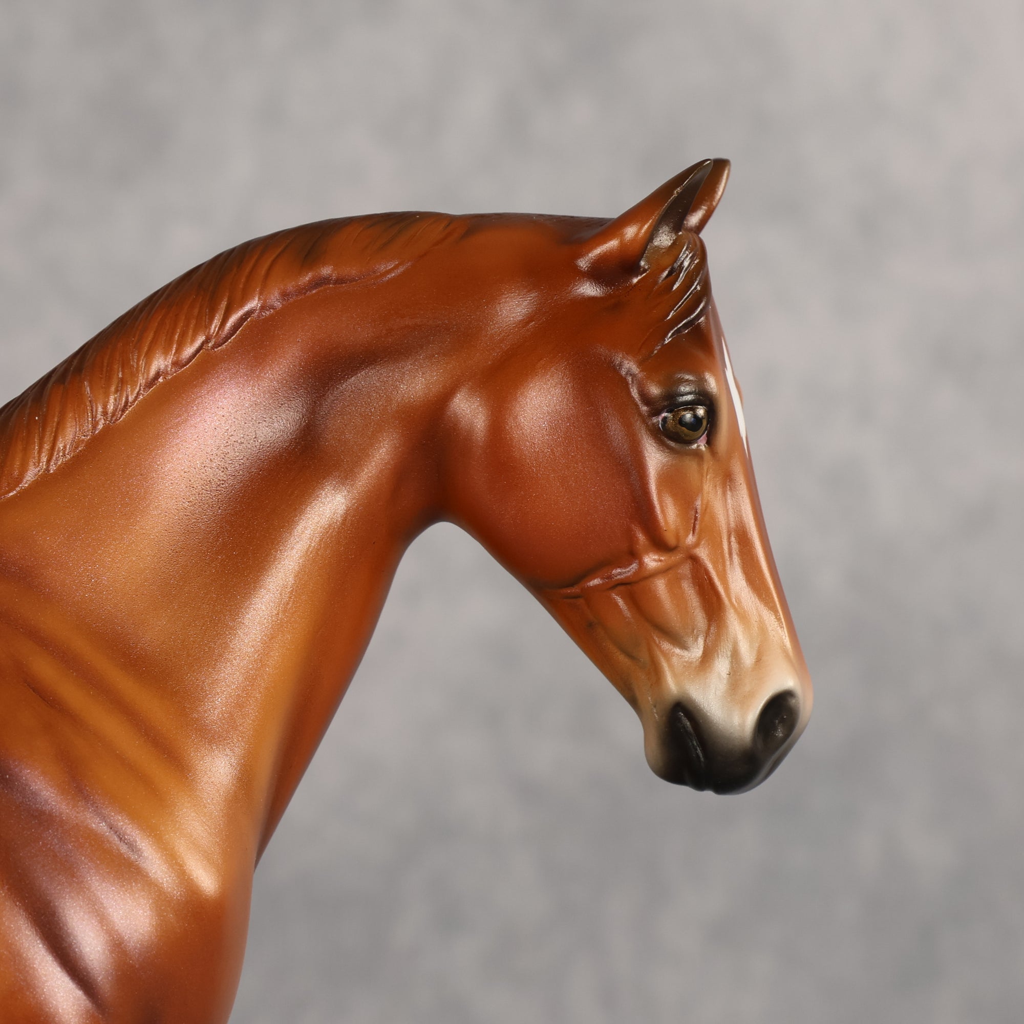 Holden OOAK FCM Ideal Stock Horse by Angela Marleau Best Offer 6.2.2026