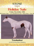 Troubador LE-8 FCM Chip Stock Horse by Ellen Robbins HS25