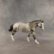 Honeynut Squash OOAK FCM Remington by Dawn Quick DDOOAKs26