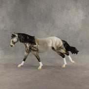 Honeynut Squash OOAK FCM Remington by Dawn Quick DDOOAKs26